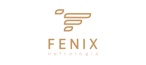 Fenix T&D